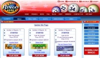 Online Bingo Screenshot